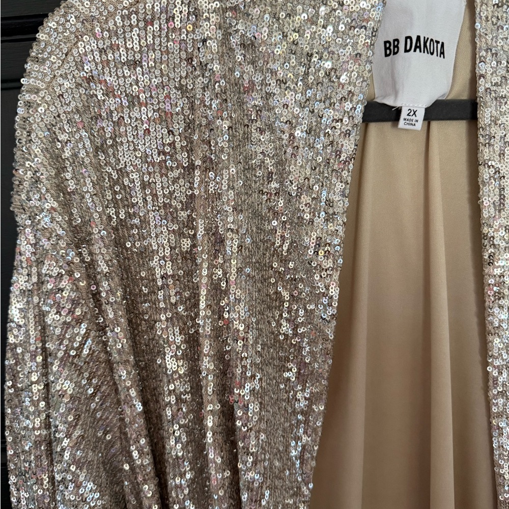 Anthropologie BB Dakota 2XL Silver Sequin Duster